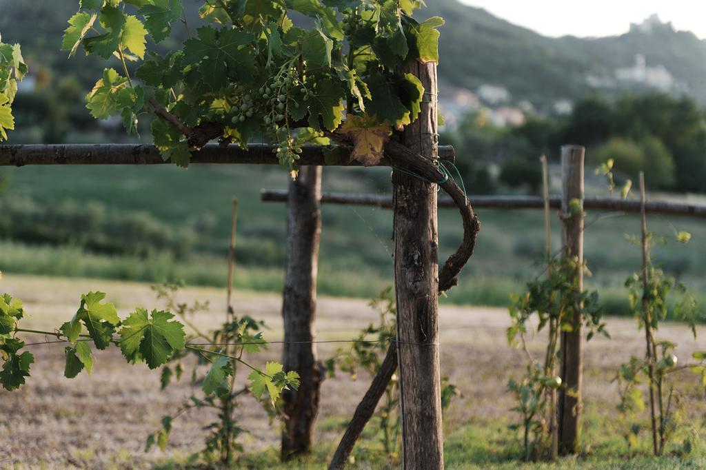 Vila Relais Casale Valigi Narni Exteriér fotografie